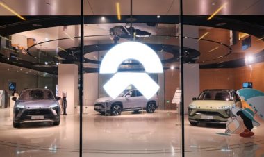 Tesla's Chinese Rivals Set New Records