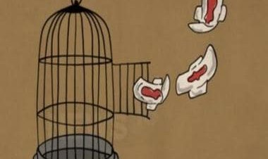 Menstruation should be normalised in schools