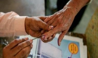 MCD Elections: Will AAP dislodge BJP? Exit polls seem to think so