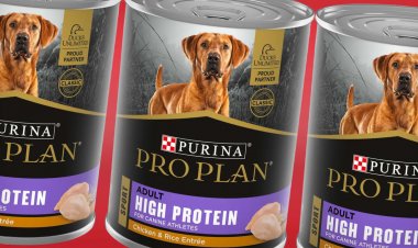 Purina Recalls Low Fat Wet Dog Food Due to Labeling Error