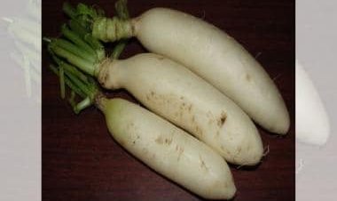 From reducing risk of diabetes to improving metabolism: Five health benefits of radish