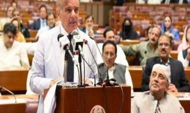 WATCH: POK leader abuses Pakistan PM Shehbaz Sharif; terms him thief, idiot