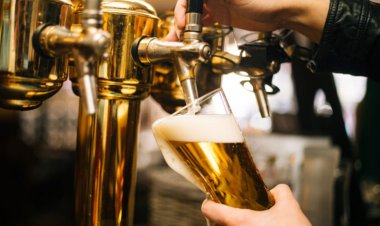 The ancestor to modern brewing yeast has been found hiding in Ireland