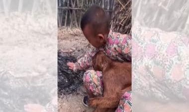 Kid warms up goat near fire in chilling weather, viral video wins hearts