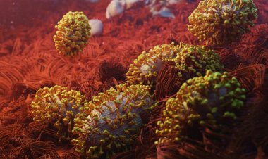 Viruses other than the coronavirus made headlines in 2022