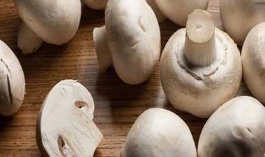 From mushrooms to oranges: Superfoods that help you get vitamin D in winters
