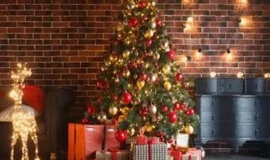 Christmas 2022: Places in India that are recognised for their vibrant celebrations