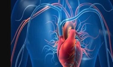 Former athletes face increased risk of high blood pressure and heart attack
