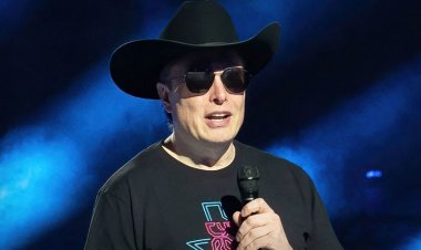 Elon Musk Shifts Attention To Illegal Immigrants