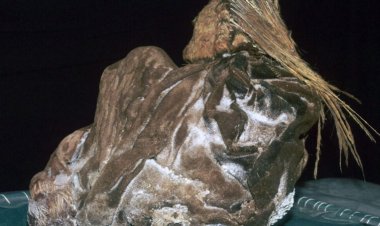 These are the most popular Science News stories of 2022