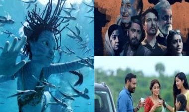 In pursuit of numbers: How The Kashmir Files changed the destiny of Bollywood and Hollywood changed the rules