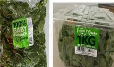 Year Ender 2022: Some bizarre incidents that made it to the headlines this year