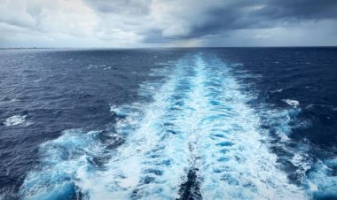 After 25 Royal Caribbean Cruises, I Finally Faced Rough Seas (Here's What Happened)