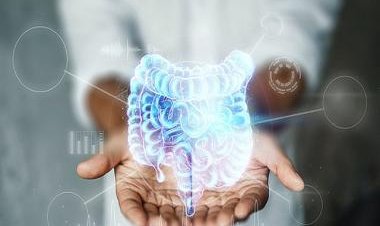 COVID-19: How healthy gut microbiome can bring down severity of infection