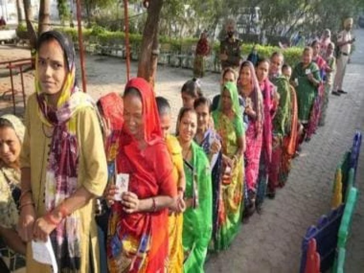 Gujarat Assembly Elections 2022: Five mega fights to look out for in Phase 2