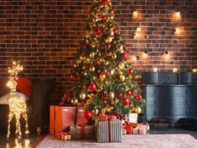 Christmas 2022: Six appetisers for your celebration