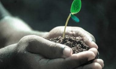 A Green Death: What is human composting that New York has recently allowed?