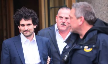 FTX Collapse: Bankman-Fried May Plead Not Guilty