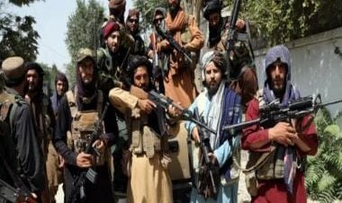 TTP challenges Pakistan's sovereignty, declares own government