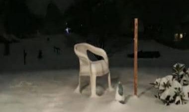 Timelapse video of shocking 'blizzard' from US goes viral; watch