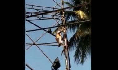 Karnataka Home Minister lauds traffic cop for saving bird’s life; here's how rescue took place