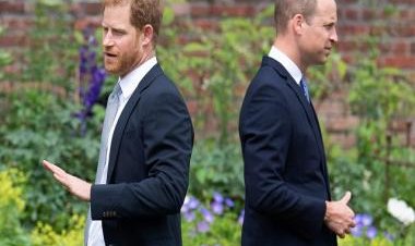 Explained | Harry &amp; Meghan: Why has Prince Harry named his book Spare and the meaning behind it