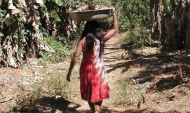 Indigenous people may have created the Amazon’s ‘dark earth’ on purpose