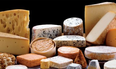 Meet some of the microbes that give cheeses flavor