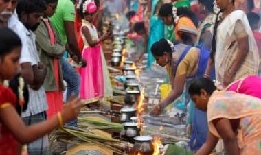 Pongal 2023: Best places to visit in Tamil Nadu during this auspicious festival