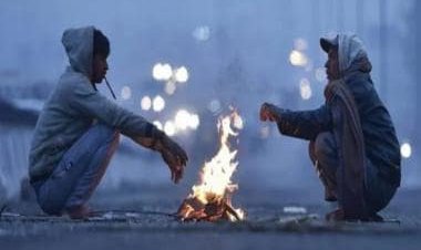 North India cold wave: IMD issues red alert for Delhi, Punjab Haryana, UP for next 48 hours