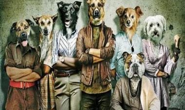 From Gulzar Saab reciting Azaadi to Vishal Bhardwaj singing 7 Khoon Maaf songs: What to expect from Mehfil-E-KHAAS