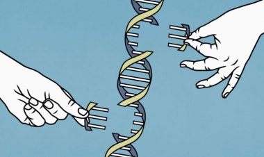 50 years ago, scientists sequenced a gene for the first time