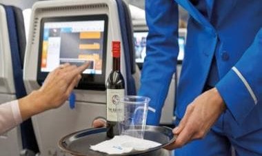 Pee-gate: Did Air India staff flout liquor policy while serving man who urinated on co-passenger?