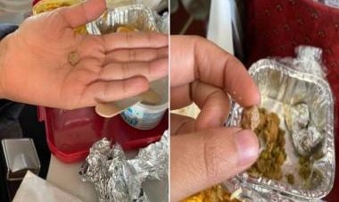 Journalist discovers stone in Air India meal on New York-Delhi flight after 'pee gate' row