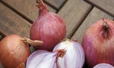 How is onion beneficial for our hair?