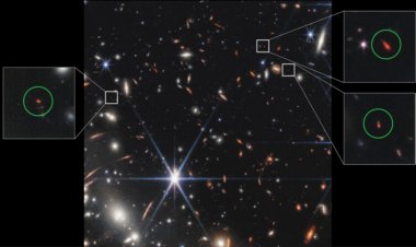 The James Webb telescope found ‘Green Pea’ galaxies in the early universe