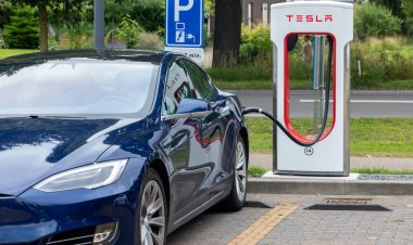 Tesla Stock Slides After Deep U.S. Price Cuts Add To Margin Concern