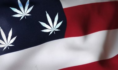 Cannabis News Week: THC-O Warning; States Making Drug Money
