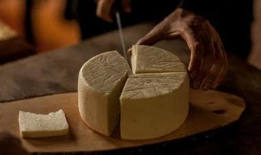 Improving immunity to lowering blood pressure: 5 health benefits of cheese