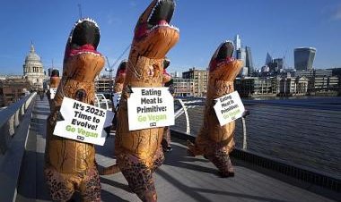 Explained: How veganism is more of a political movement than a dietary choice