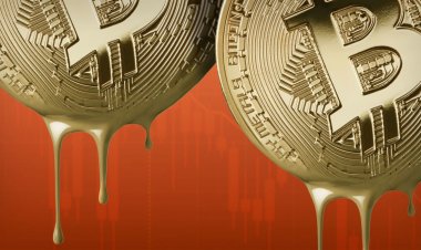 Elon Musk and Tesla Still Hold Bitcoin