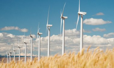 It’s possible to reach net-zero carbon emissions. Here’s how