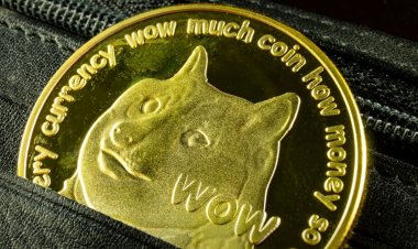 Elon Musk Renews His Dogecoin Offer to McDonald's