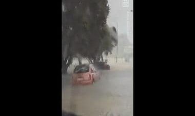 State of emergency in New Zealand's Auckland amid rains and floods; shocking video goes viral