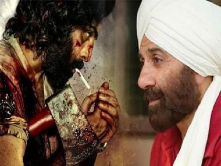 MASSIVE CLASH: Sunny Deol's Gadar 2 to take on Ranbir Kapoor's Animal at the box-office on August 11, 2023