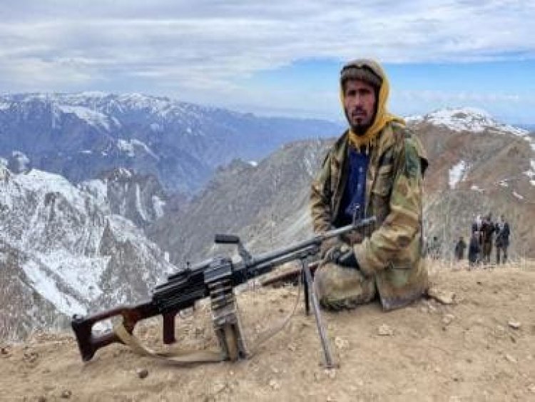 Explained: How the Taliban have started buying blue ticks on Elon Musk’s Twitter