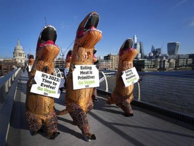 Explained: How veganism is more of a political movement than a dietary choice