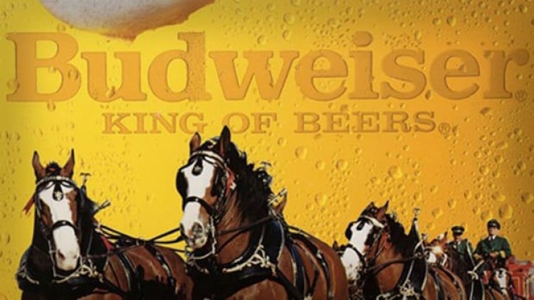 Anheuser-Busch Makes Morningstar Recession Stock List