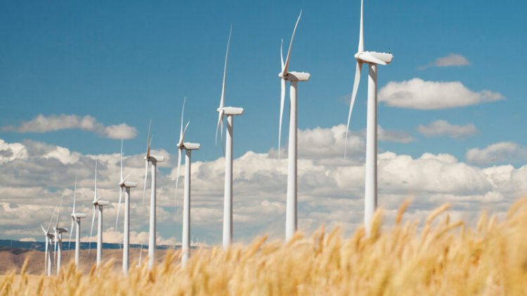 It’s possible to reach net-zero carbon emissions. Here’s how