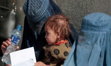 Denmark to grant asylum status to Afghan women ‘solely based on gender’